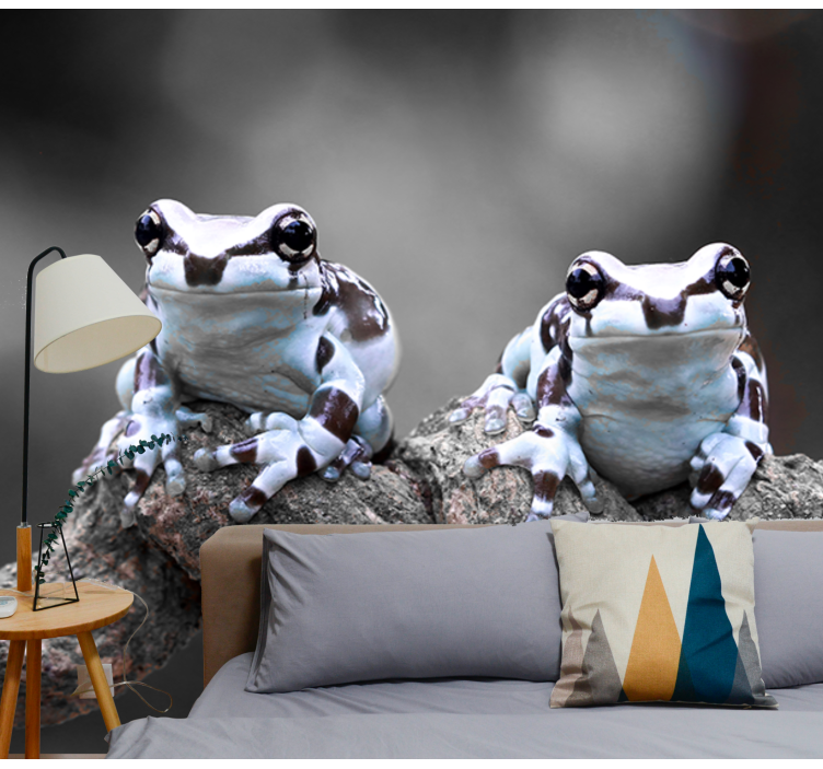 Par drevesnih žab Fototapete z živalmi - TenStickers