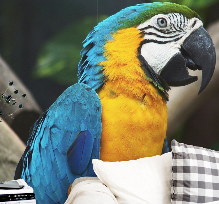 Portret ptice ara Fototapete z živalmi - TenStickers