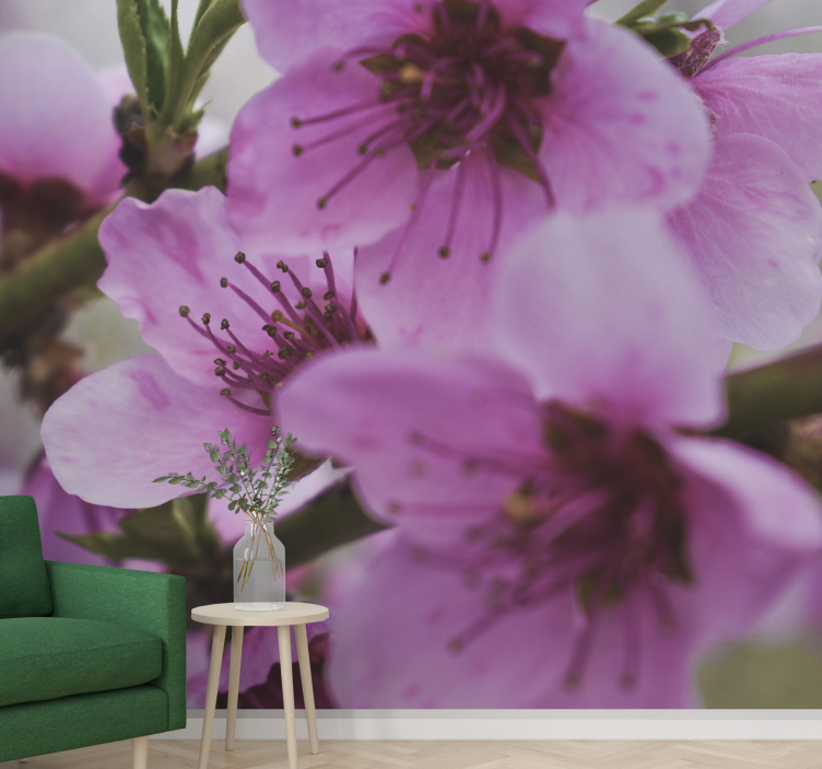 Radiant pink flowers fototapeta z makovimi cvetovi - TenStickers