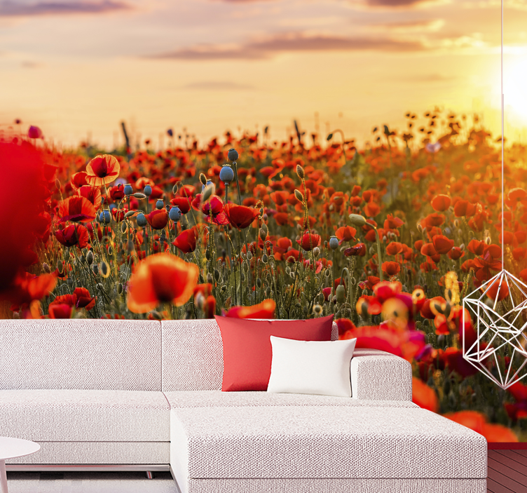 Radiant poppy field fototapeta z makovimi cvetovi - TenStickers
