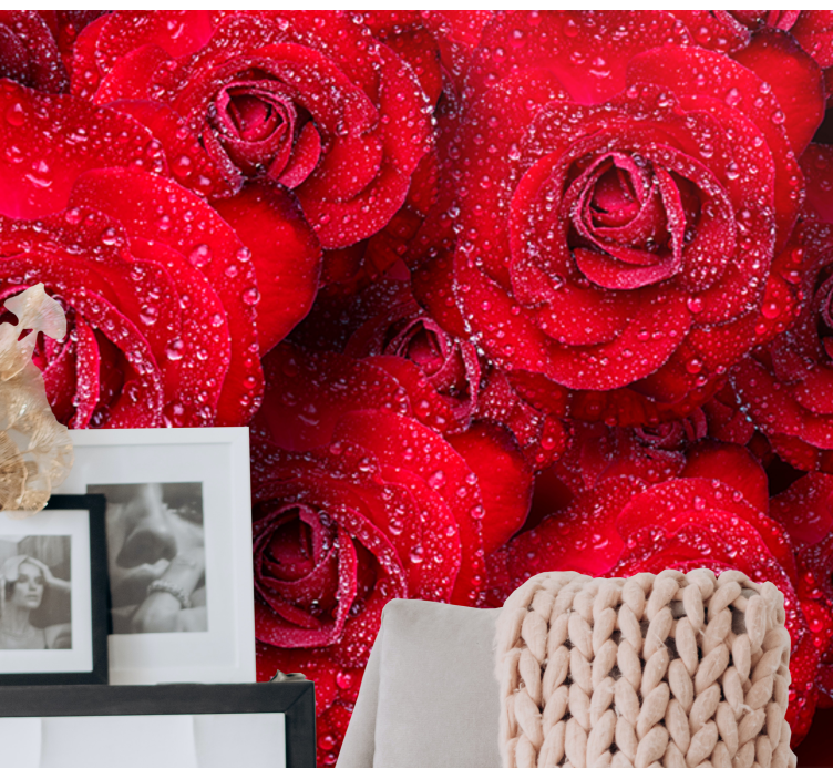 Rdeča vrtnica z vodnimi kapljicami fototapeta - TenStickers
