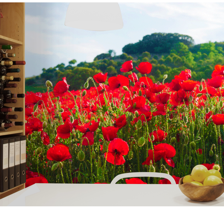 Red poppy field fototapeta z makovimi cvetovi - TenStickers