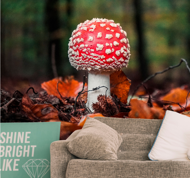 Red toadstool mushroom fototapete narava - TenStickers