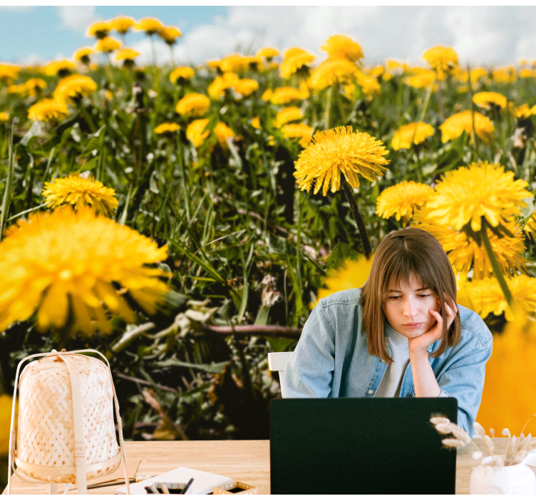 Regratov rumeni poljski mak - TenStickers