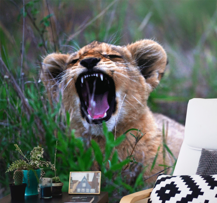 Roaring lion cub fototapeta z levom - TenStickers