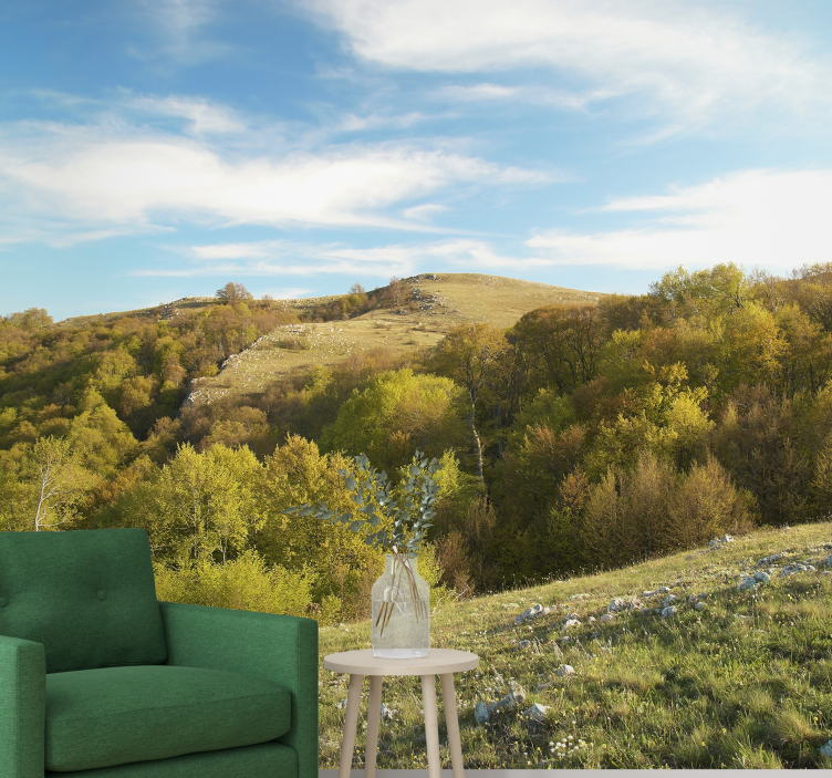 Rolling hill landscape stenske poslikave - TenStickers