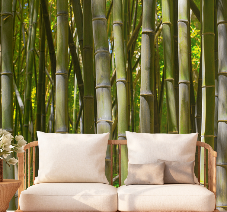 Serene bamboo grove fototapeta s bambusom - TenStickers