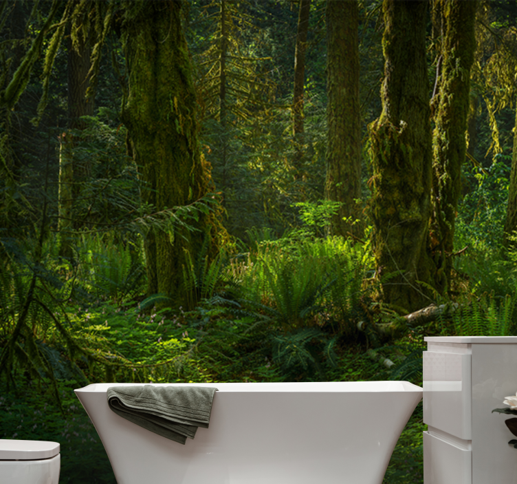 Serene forest retreat fototapete narava - TenStickers