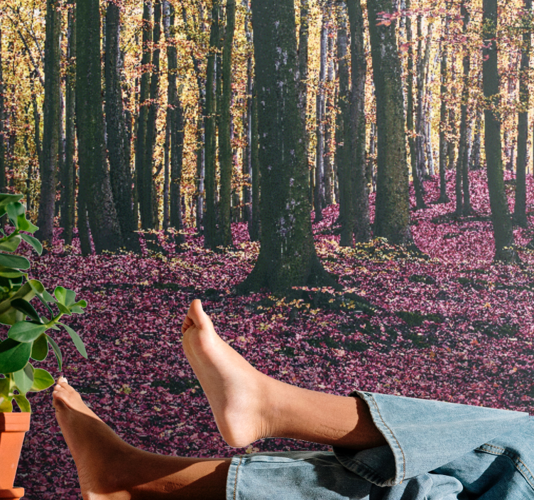 Serene forest scene fototapete narava - TenStickers