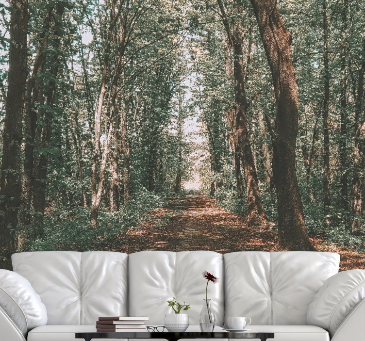 Serene woodland trail fototapeta gozd - TenStickers