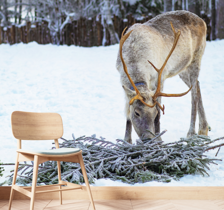 Severni jeleni v snegu Fototapete z živalmi - TenStickers