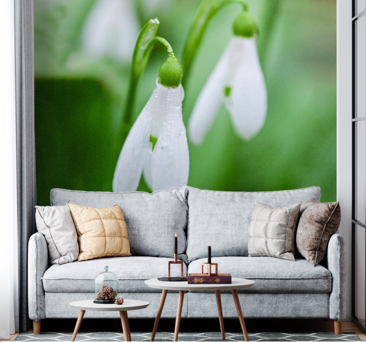 Snowdrop floral elegance fototapete s cvetjem - TenStickers