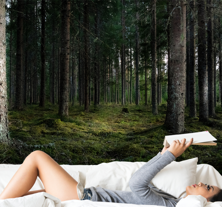 Spokojna pokrajina Fototapeta Gozd - TenStickers