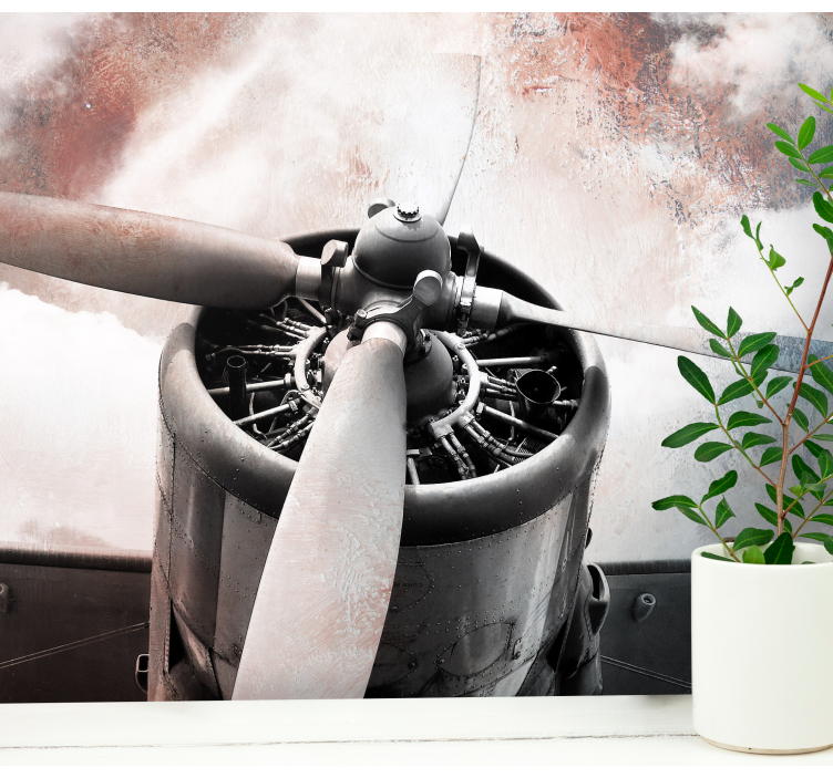 Stara stenska poslikava letala - TenStickers