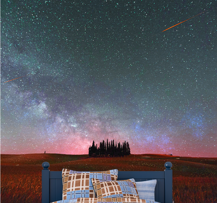 Starlit milky way fototapeta z gorami - TenStickers