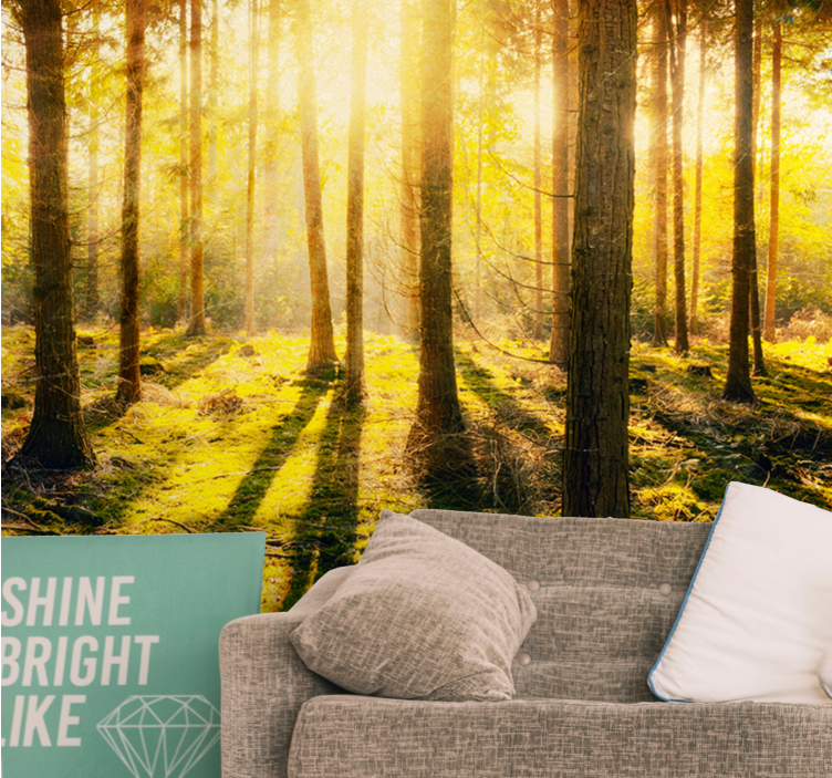 Sun-drenched woodland landscape fototapete narava - TenStickers