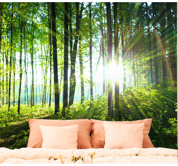 Sun-kissed woodland view fototapeta gozd - TenStickers