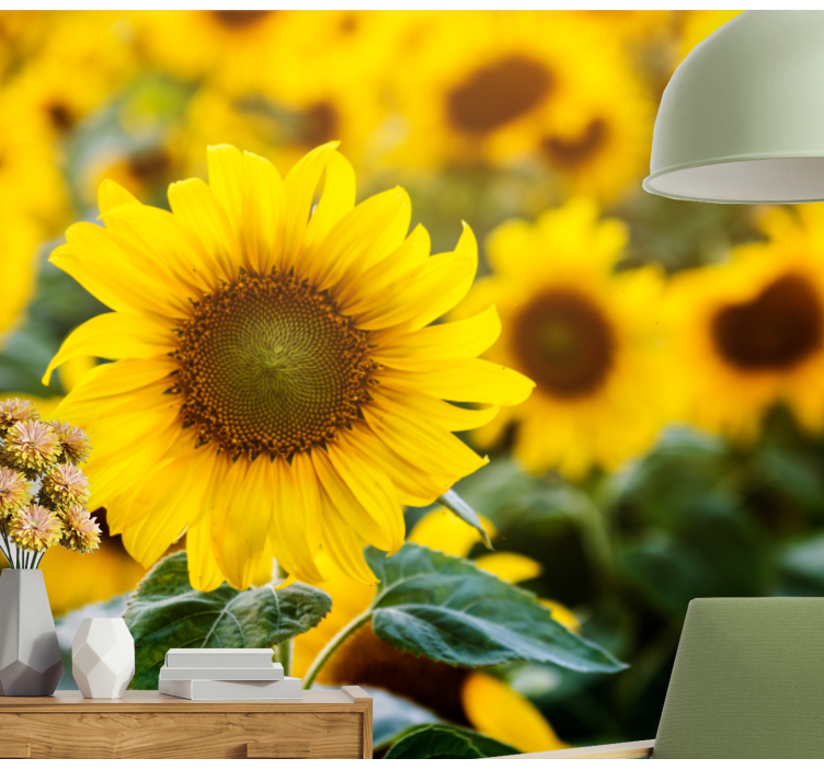 Sunflower field bloom fototapete cvetje - TenStickers