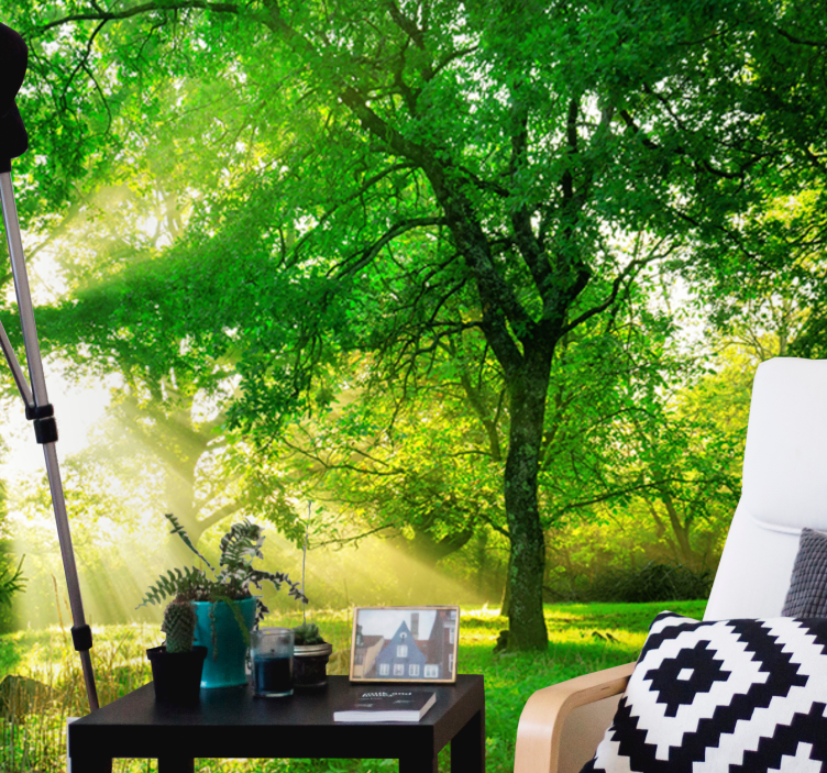 Sunlit greenery scene fototapete narava - TenStickers