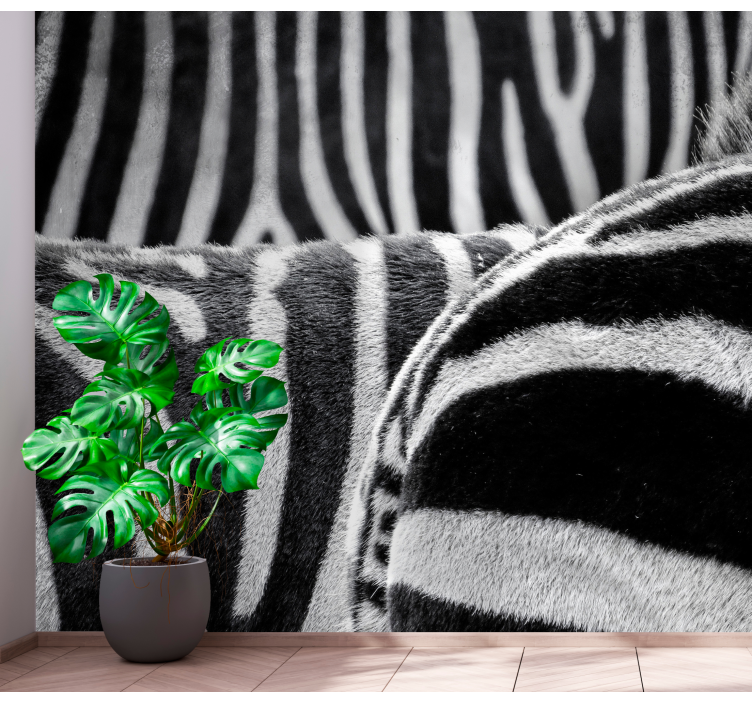 Stenska poslikava konji zebra - TenStickers