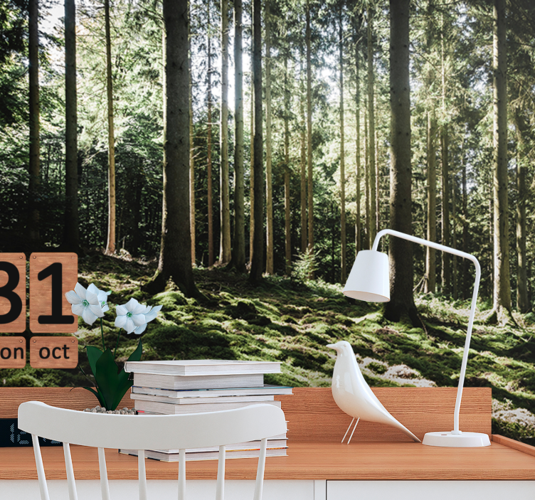 Tranquil forest scene fototapeta gozd - TenStickers