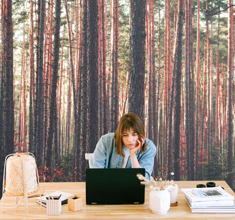 Tranquil pine woods fototapeta gozd - TenStickers