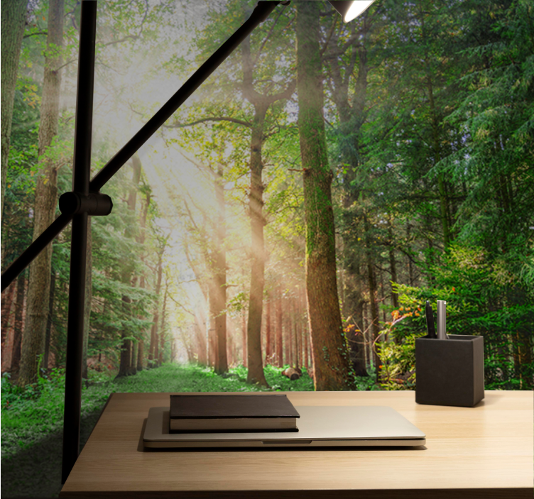 Tranquil woodland trail fototapeta gozd - TenStickers