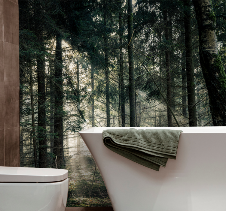 Tranquil woodland view fototapete narava - TenStickers