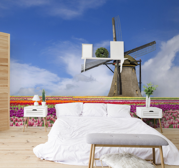 Tulipanovo polje vetrnica Fototapeta Amsterdam - TenStickers