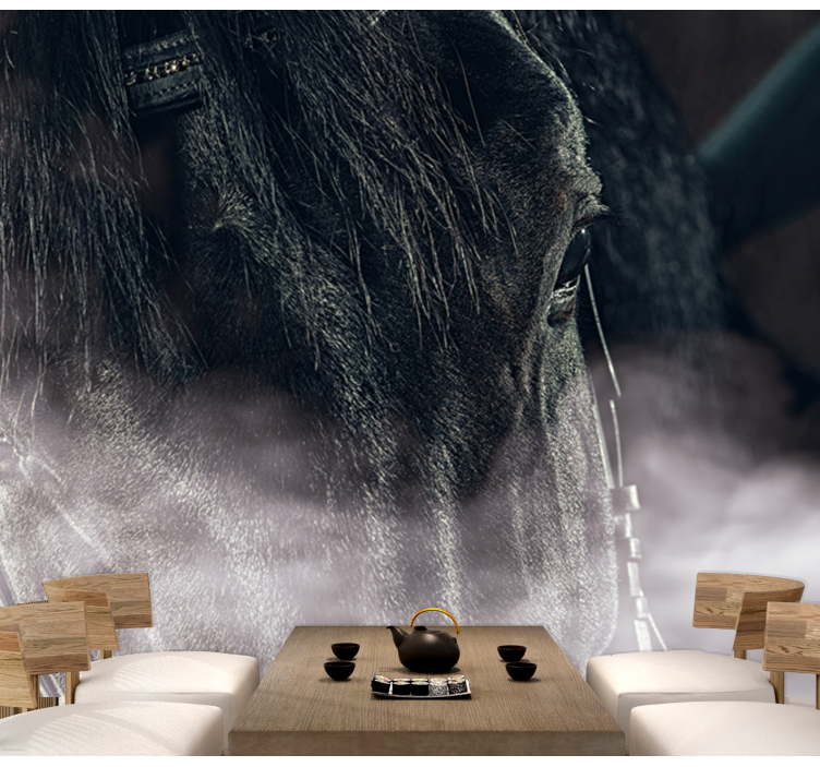 Veličasten konj od blizu Fototapete z živalmi - TenStickers