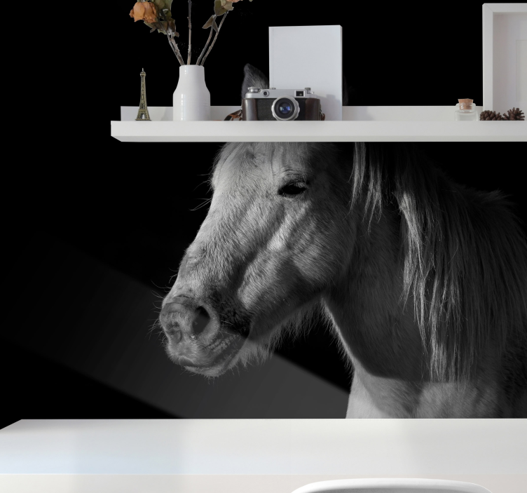Veličasten konjski portret Fototapete z živalmi - TenStickers