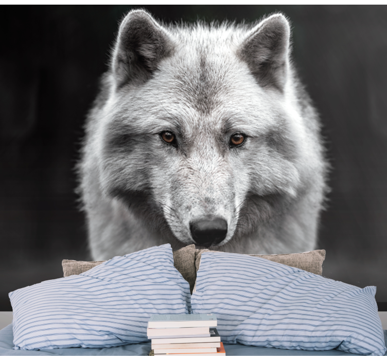 Veličasten portret volka Fototapete z živalmi - TenStickers