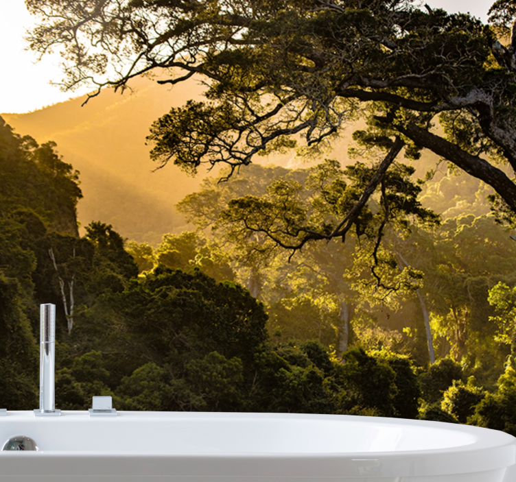 Verdant woodland scenery fototapete narava - TenStickers