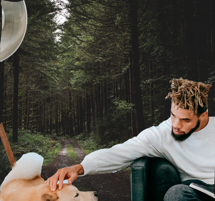 Verdant woodland trail fototapete narava - TenStickers