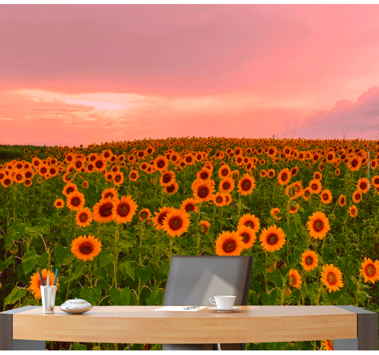 Vibrant sunflower field fototapete cvetje - TenStickers