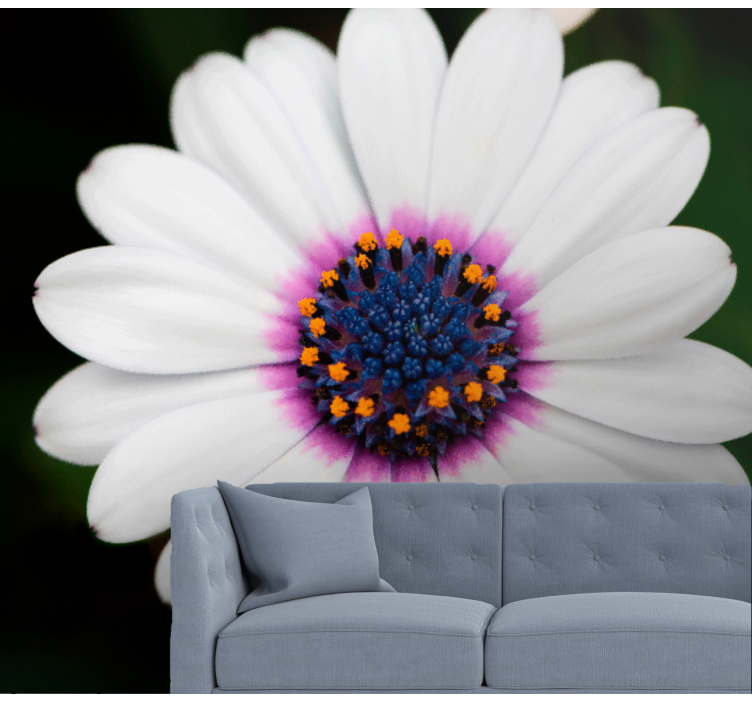 White flower blossom fototapete cvetje - TenStickers