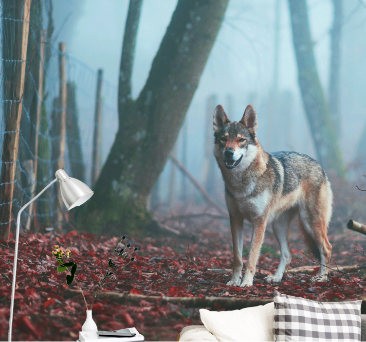 Wolf in misty forest fototapete z živalmi - TenStickers