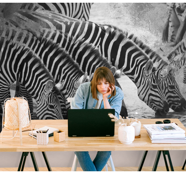 Zebre pijejo vodo Fototapete z živalmi - TenStickers