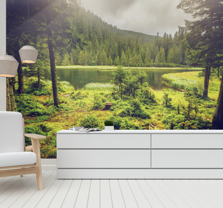 Zelena drevesa gozdni stenski zidni fototapeta - TenStickers