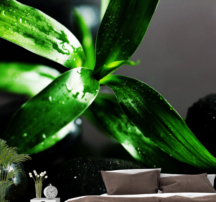 Zen črni kamni na vodni cvet stenske fototapete - TenStickers