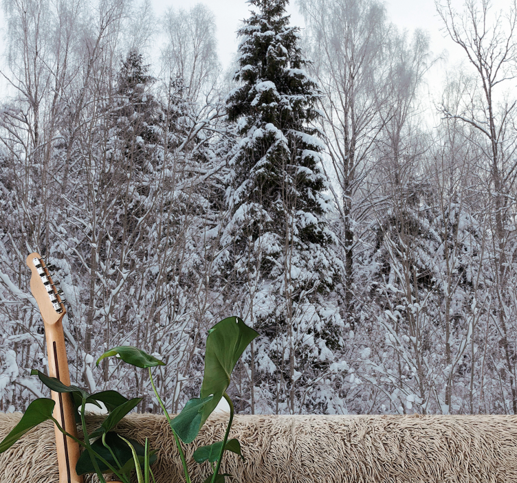 Zimska gozdna scena Fototapeta Gozd - TenStickers