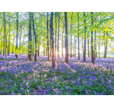 Nature-inspired modernism fototapeta gozd - TenStickers