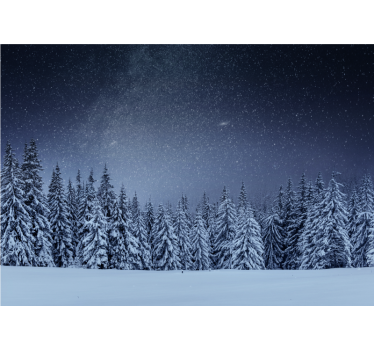 Zasnežena borova pokrajina Fototapete Narava - TenStickers