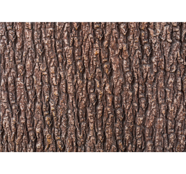 Tekstura lesa fototapeta iz lesenega lubja - TenStickers