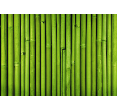 Green bamboo stalks fototapeta s bambusom - TenStickers