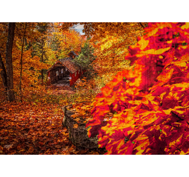 Autumn cottage landscape stenske poslikave - TenStickers