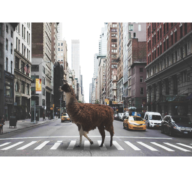 Lama v ozadju fototapeta new york - TenStickers