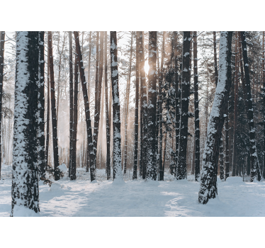 Zimski borovi gozdovi Fototapeta Gozd - TenStickers