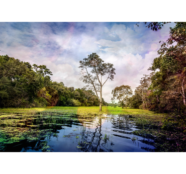 Tranquil nature scene stenske poslikave - TenStickers