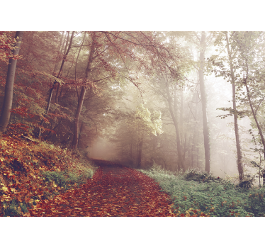 Autumn trail landscape fototapeta gozd - TenStickers